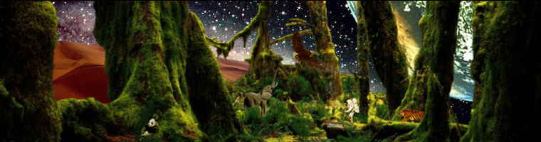 メインイメージ